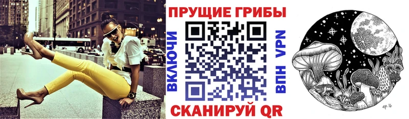 Купить где  Мичуринск  Галлюциногенные грибы прущие грибы 